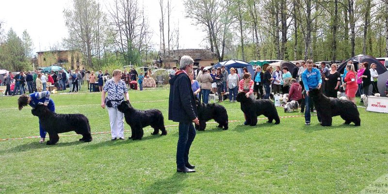 Фотография № 225488