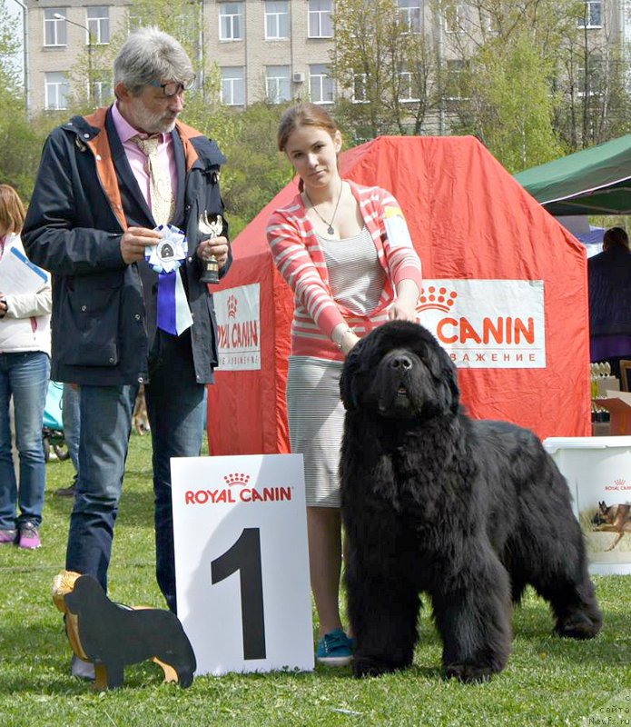 Фотография № 225491