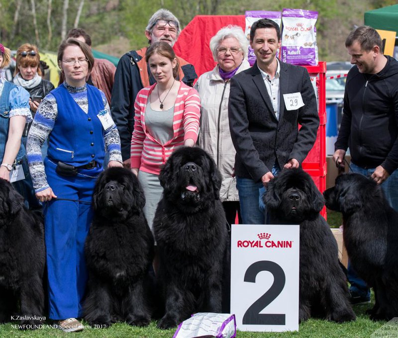 Фотография № 225502