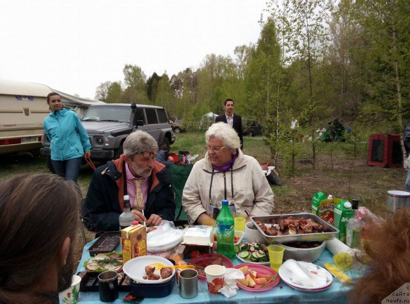 Фотография № 225508