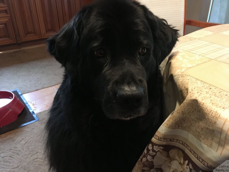 Фотография № 225513