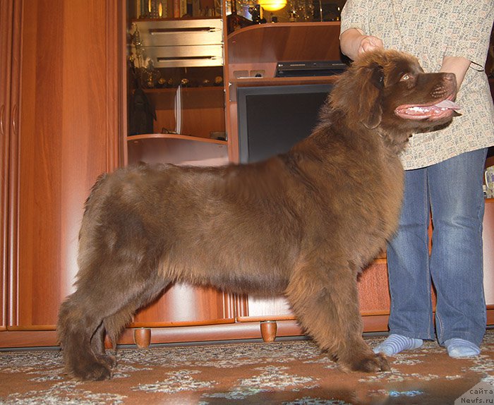 Фотография № 225517