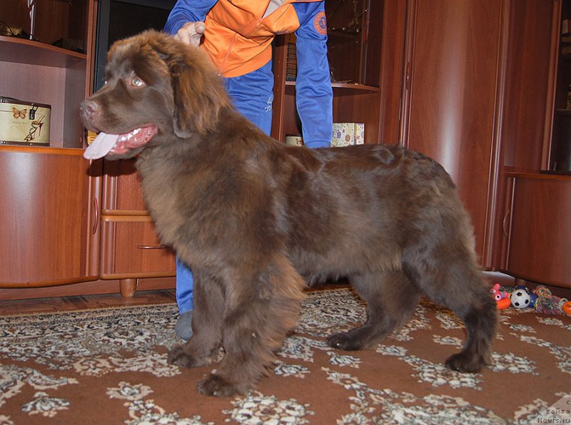 Фотография № 225520