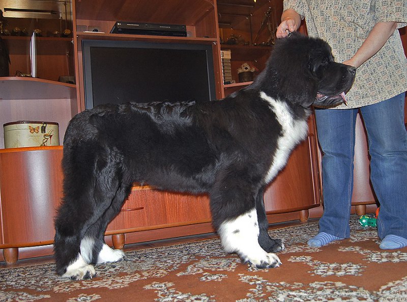 Фотография № 225522