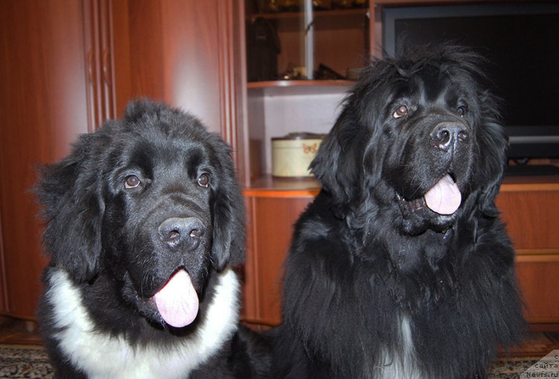 Фотография № 225526