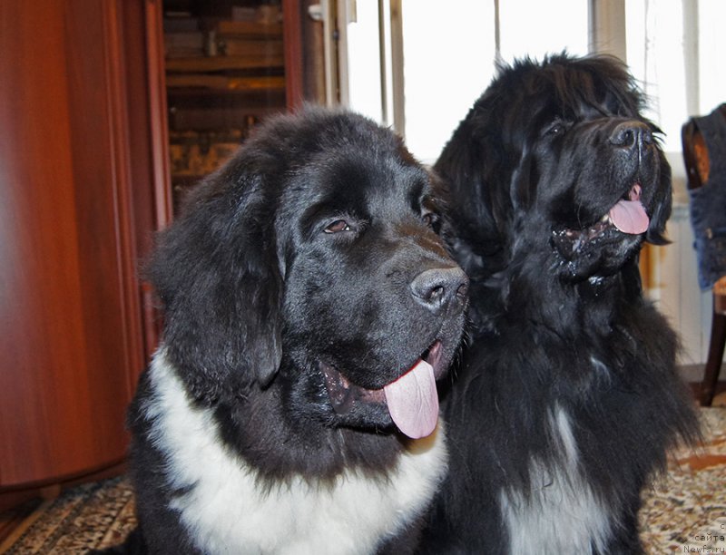 Фотография № 225528