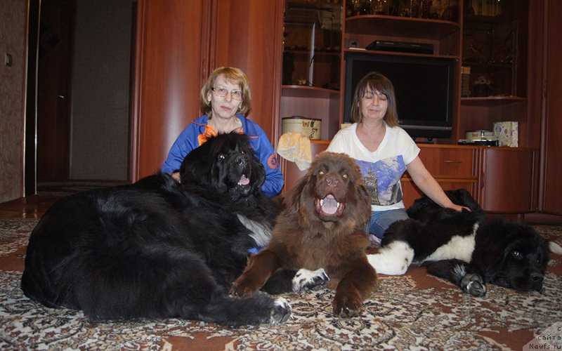 Фотография № 225529