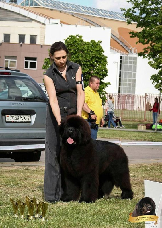 Фотография № 225532