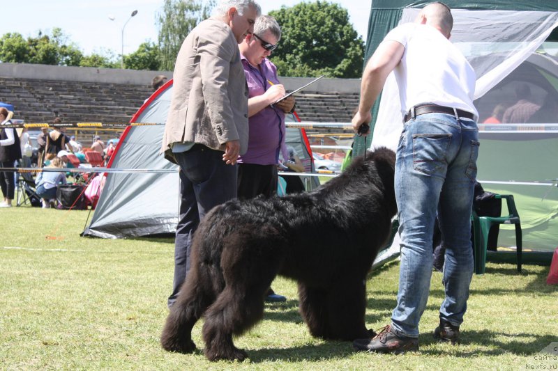 Фото: Виктор Хрищанович
