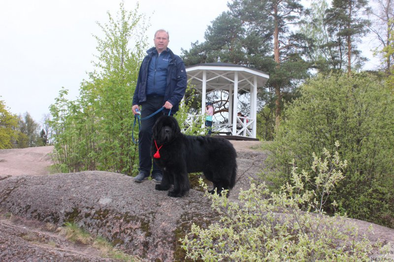 Фотография № 225537