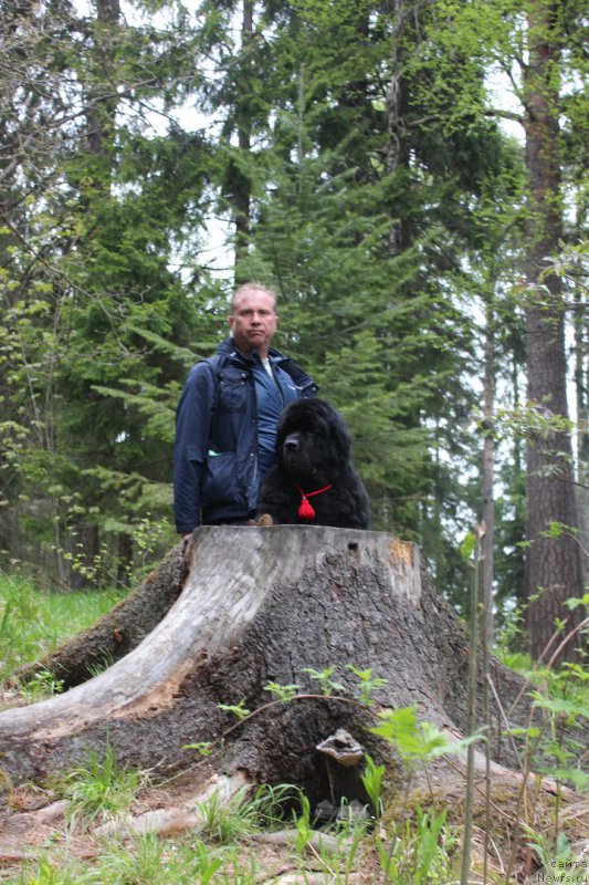 Фотография № 225538