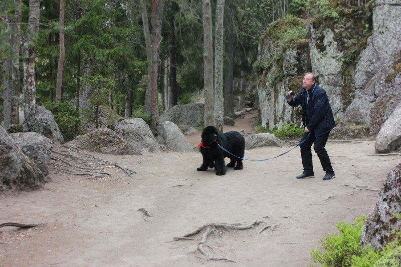 Фотография № 225540