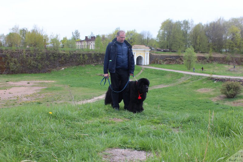 Фотография № 225541