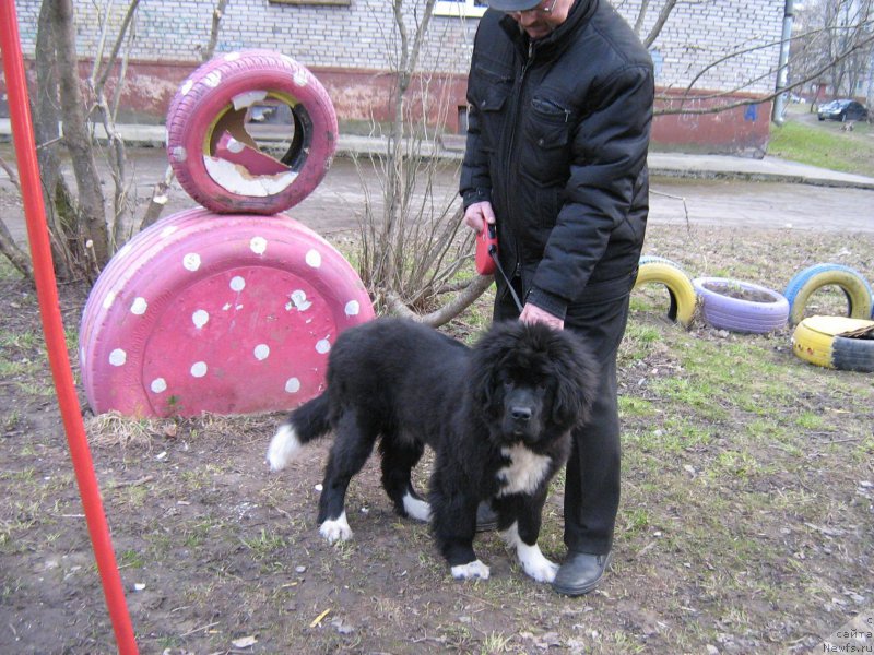 Фотография № 225543