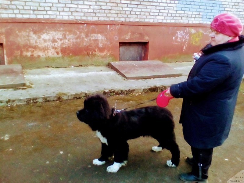 Фотография № 225544