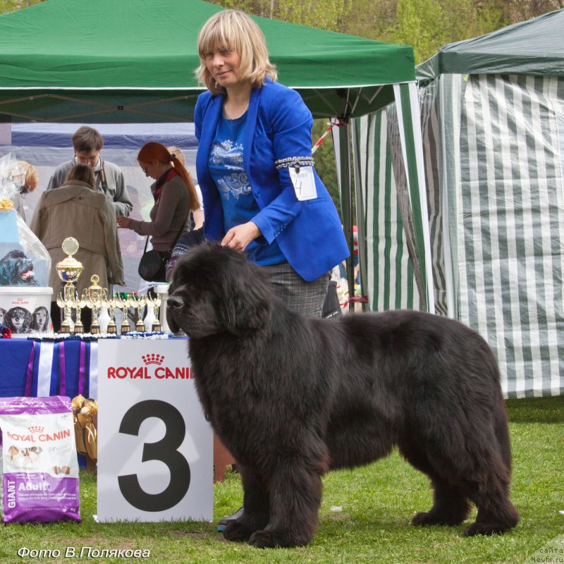 Фотография № 225545