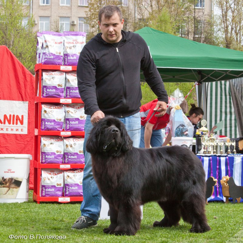 Фотография № 225547