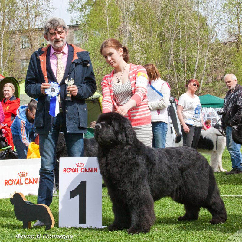 Фотография № 225549