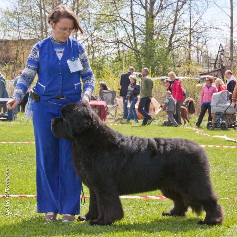 Фотография № 225551