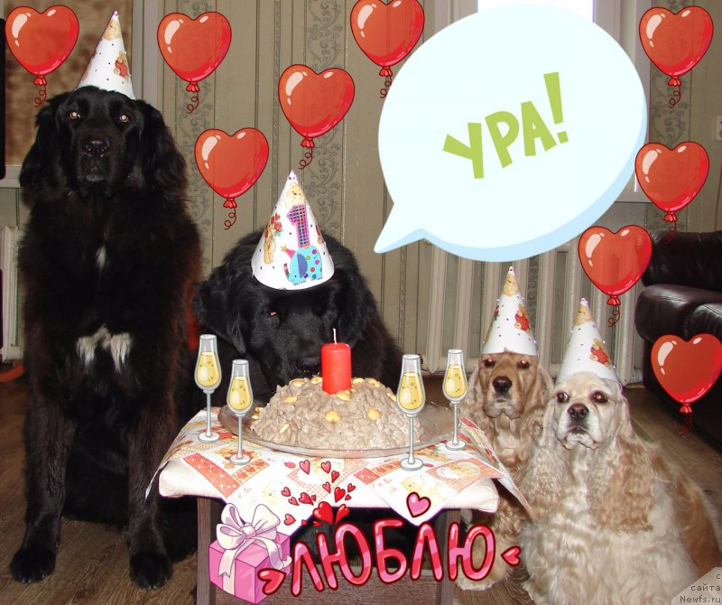 Фотография № 225585