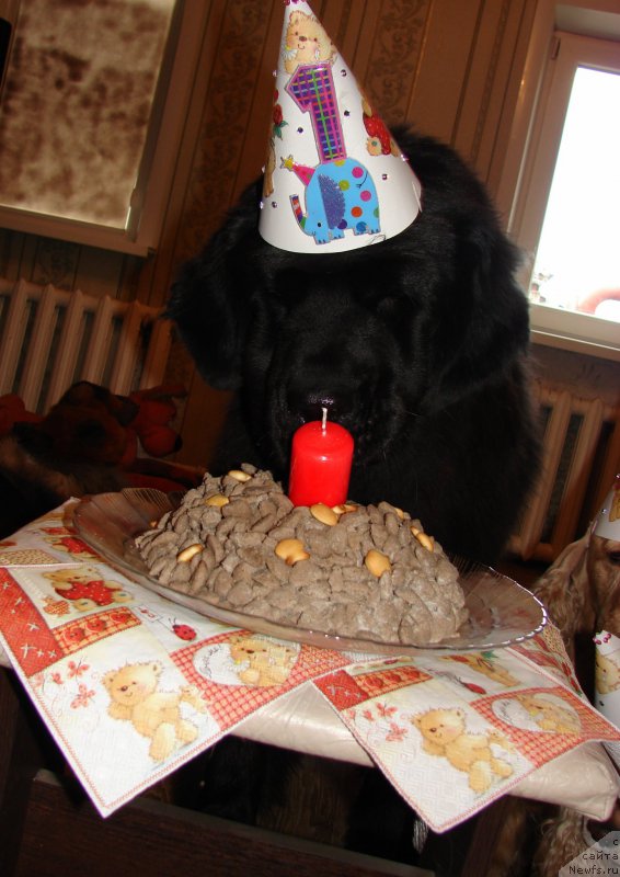 Фотография № 225586