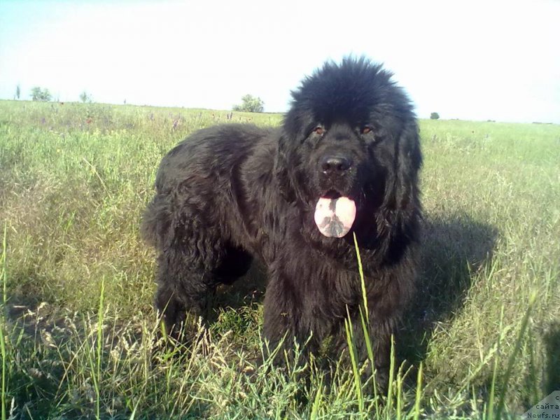 Фотография № 225592