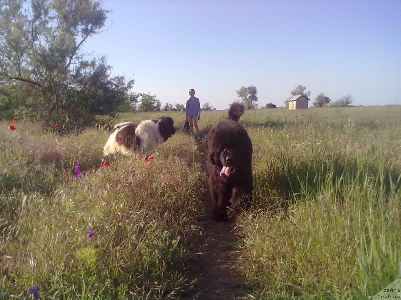 Фотография № 225593