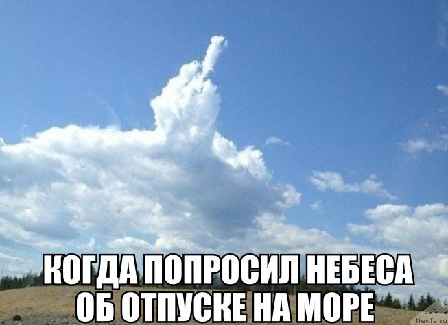 Фотография № 225594