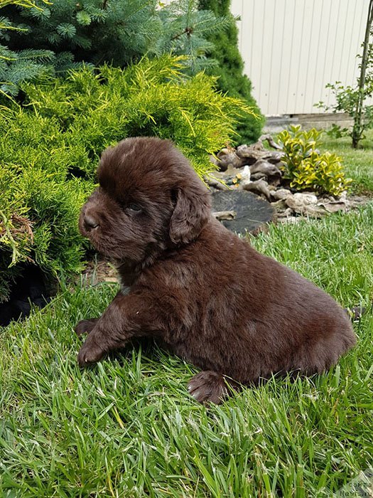 Фотография № 225608