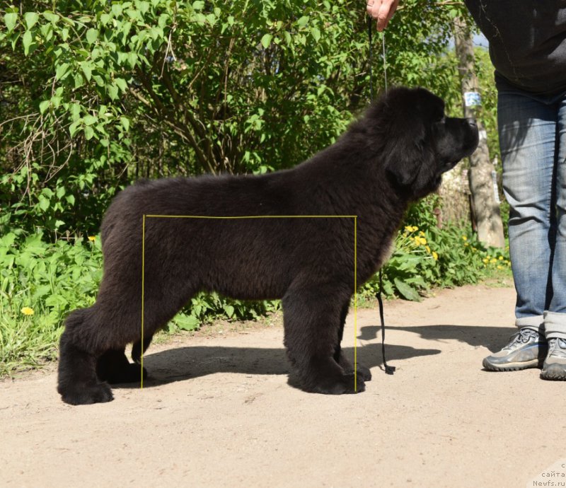 Фотография № 225610