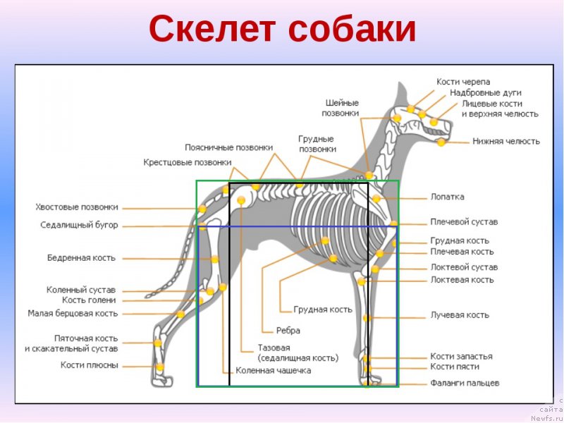Фотография № 225612