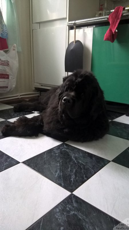 Фотография № 225618