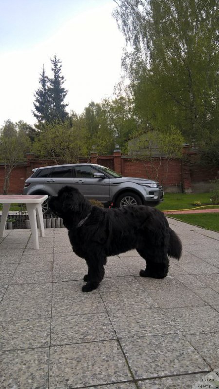 Фотография № 225620