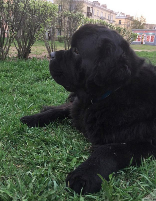 Фотография № 225636