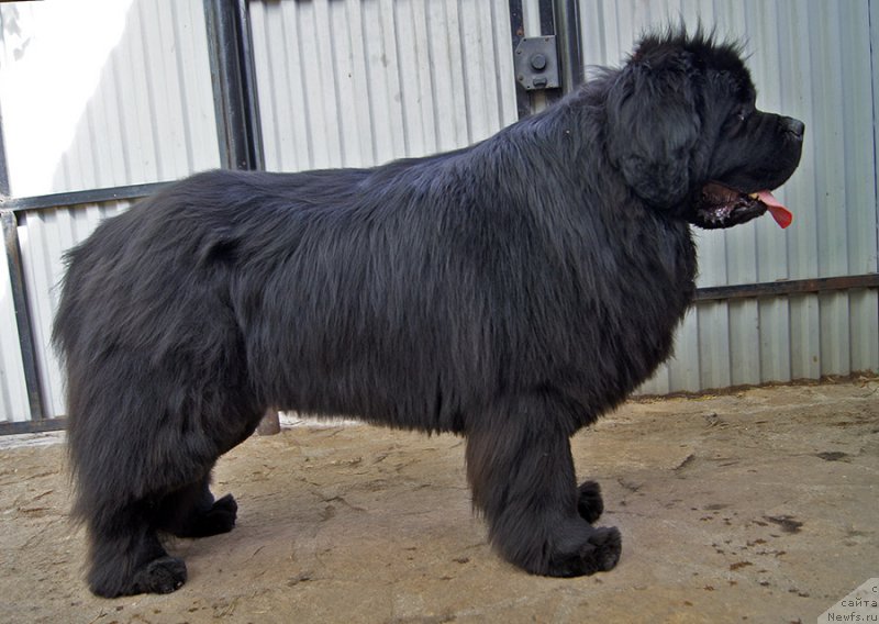 Фотография № 225648