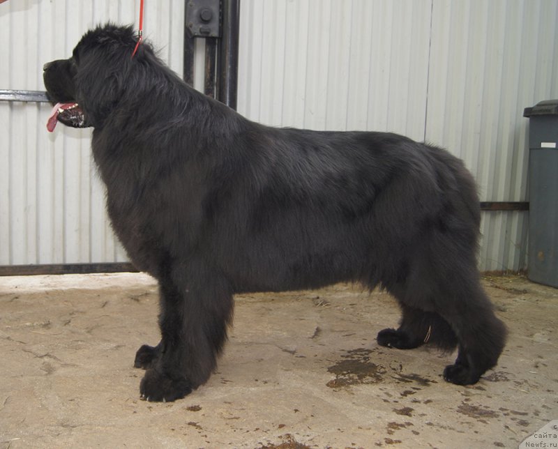 Фотография № 225655