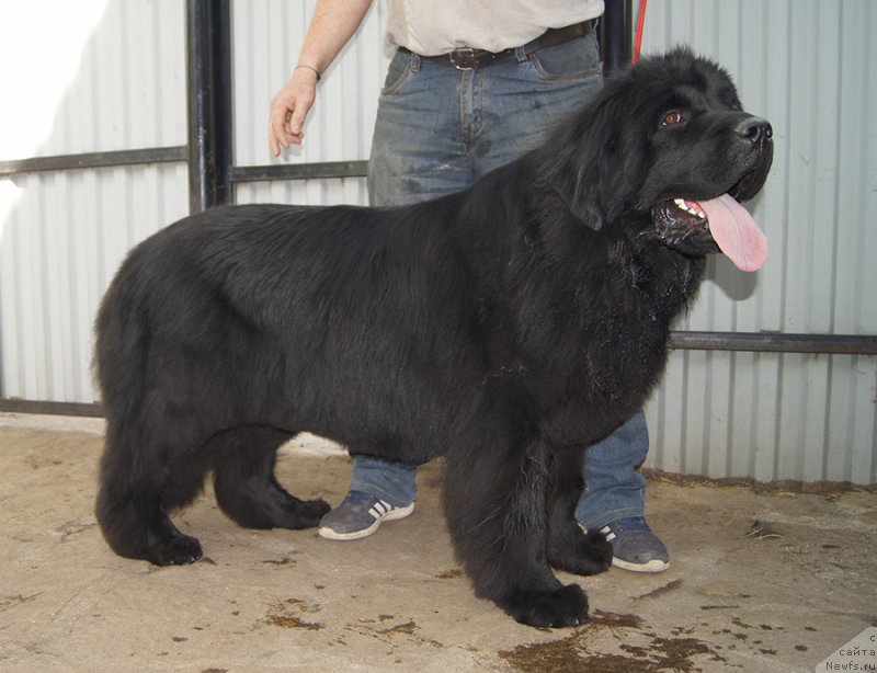 Фотография № 225657