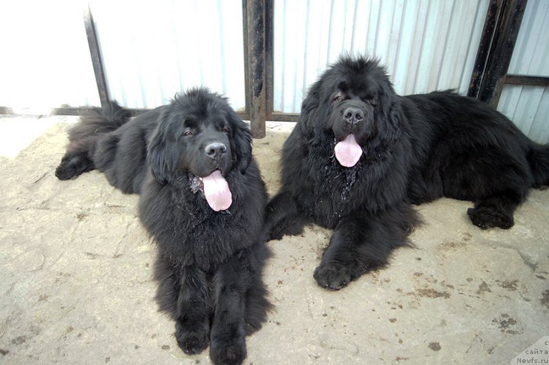 Фотография № 225659