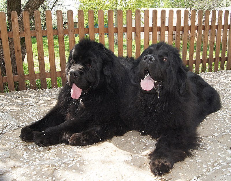 Фотография № 225661