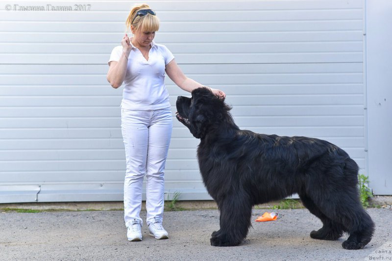 Фотография № 225666