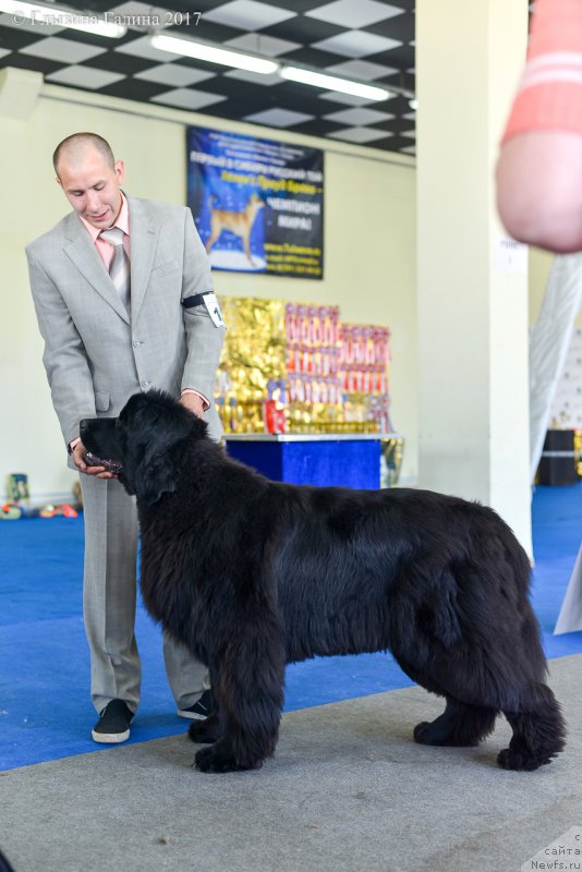 Фотография № 225668