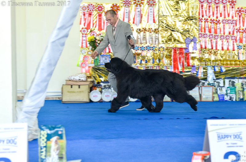 Фотография № 225669