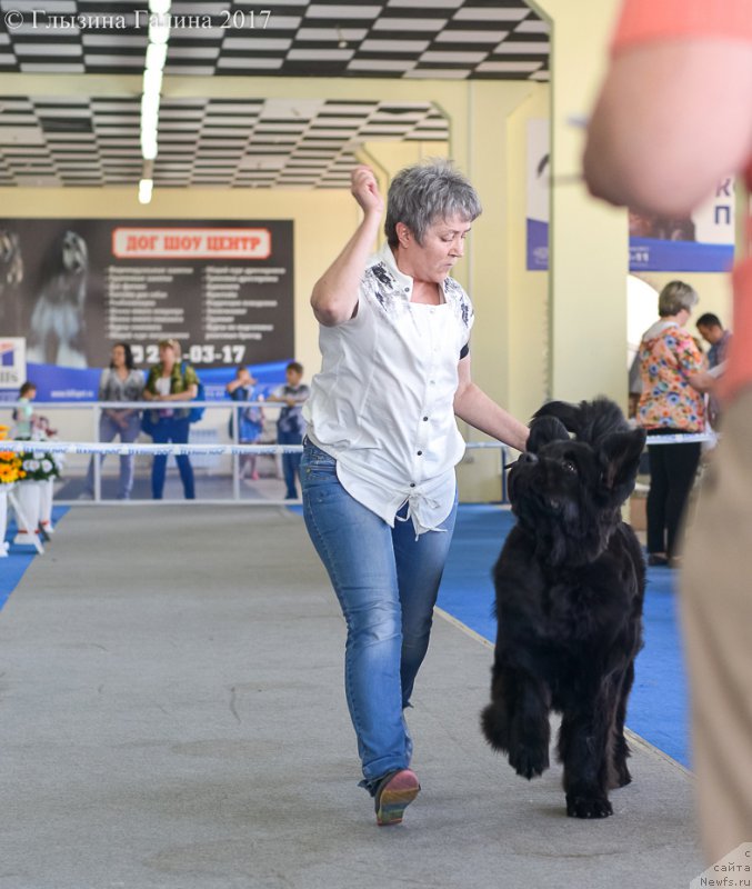 Фотография № 225671