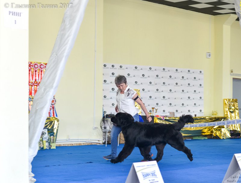 Фотография № 225672