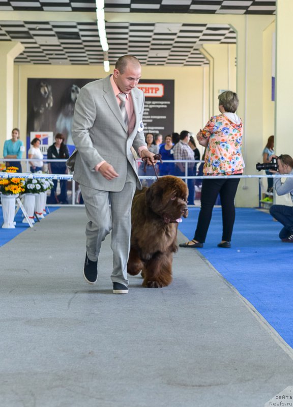 Фотография № 225676