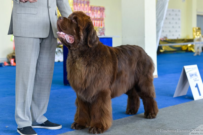 Фотография № 225677