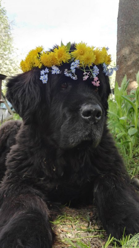 Фотография № 225681