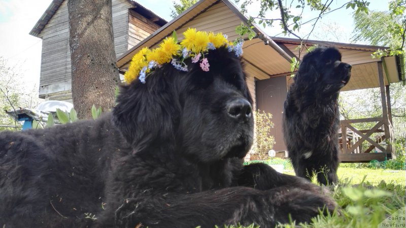 Фотография № 225683