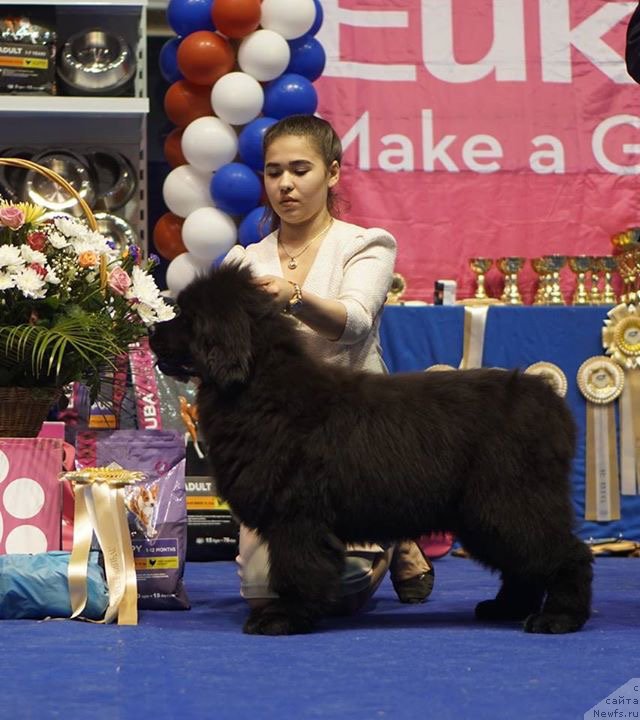 Фотография № 225692