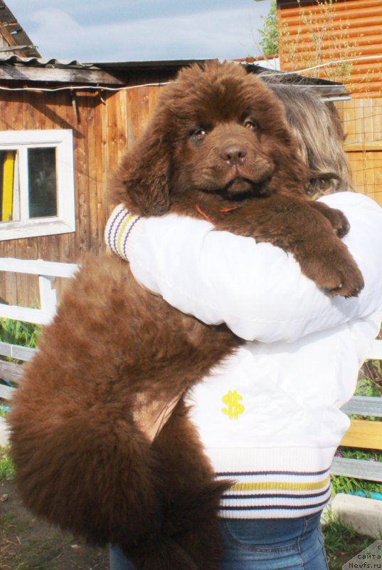 Фотография № 225699